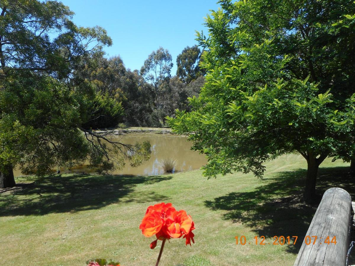 Wurrung B & B - The Cottageウッドエンド エクステリア 写真