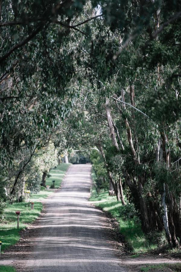 Wurrung B & B - The Cottageウッドエンド エクステリア 写真
