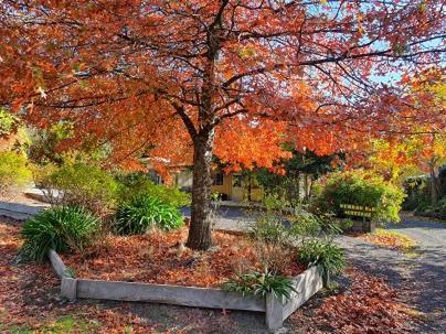 Wurrung B & B - The Cottageウッドエンド エクステリア 写真