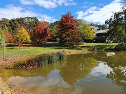 Wurrung B & B - The Cottageウッドエンド エクステリア 写真