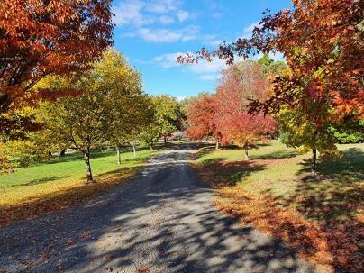 Wurrung B & B - The Cottageウッドエンド エクステリア 写真