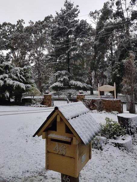 Wurrung B & B - The Cottageウッドエンド エクステリア 写真