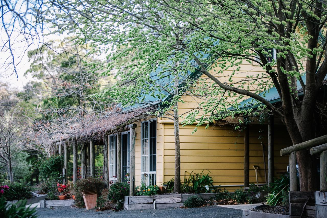 Wurrung B & B - The Cottageウッドエンド エクステリア 写真